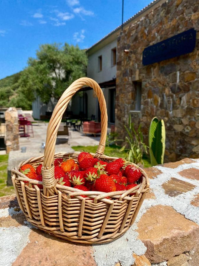Casa Voltegira Bed & Breakfast Manso Exterior foto
